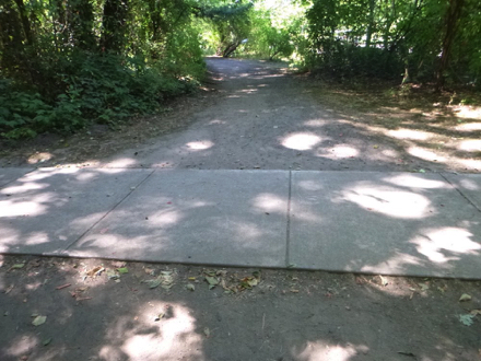 Paved path crossing a natural surface trail causing a lip in both directions